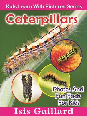 cover image of Caterpillars Photos and Fun Facts for Kids